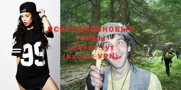 таблы Новозыбков