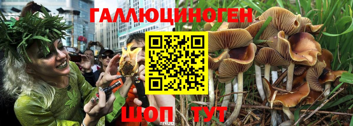 Псилоцибиновые грибы Psilocybe  Вход с VPN  Муравленко 